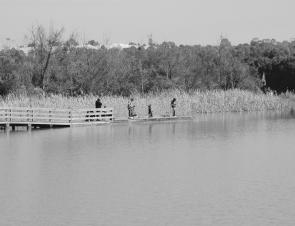 Lilydale Lake has been keeping anglers busy while they wait for the river trout season to open.